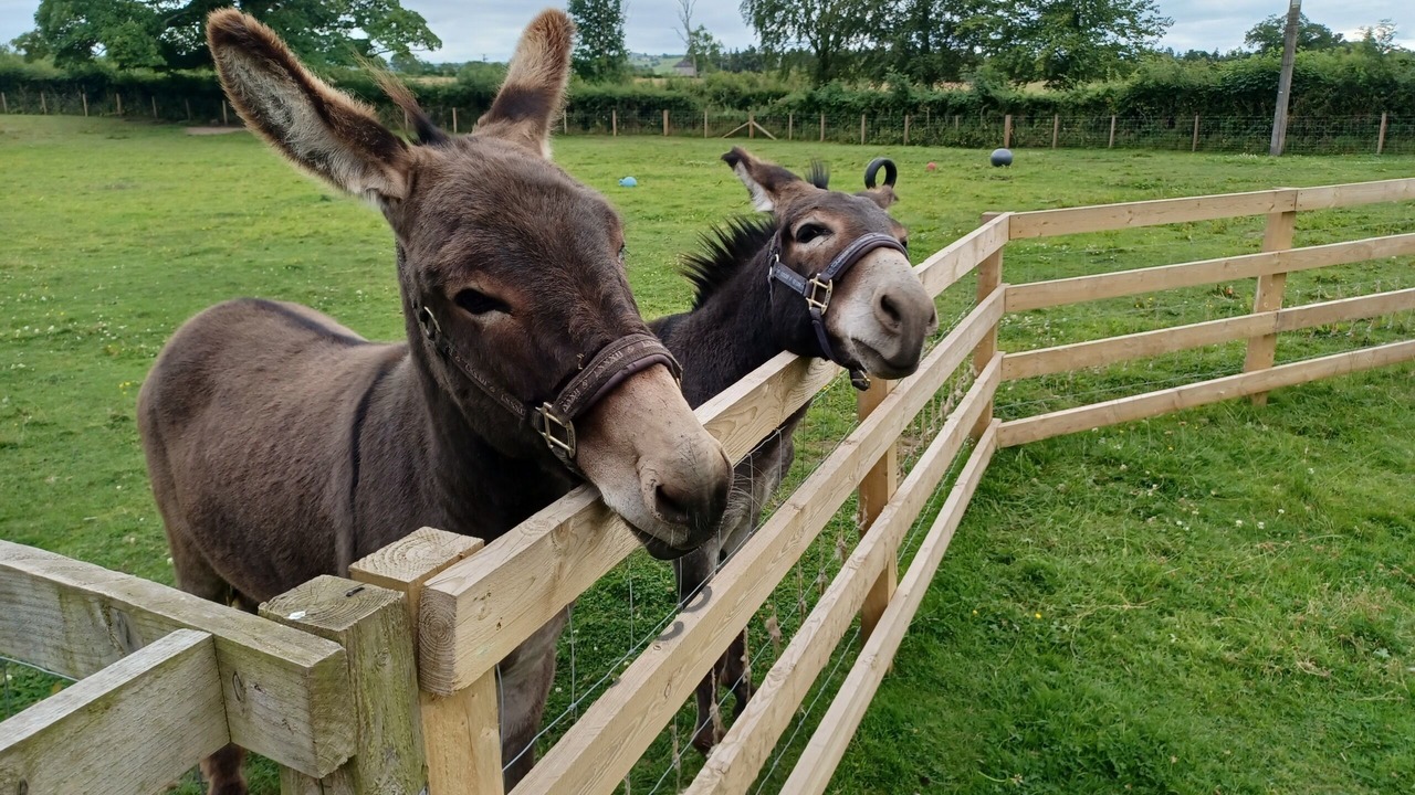 Photo of Others in Sebergham