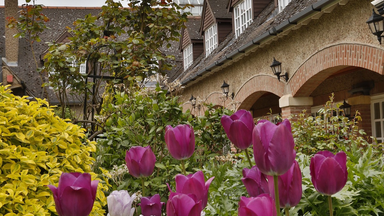 Photo of Others in Quorndon