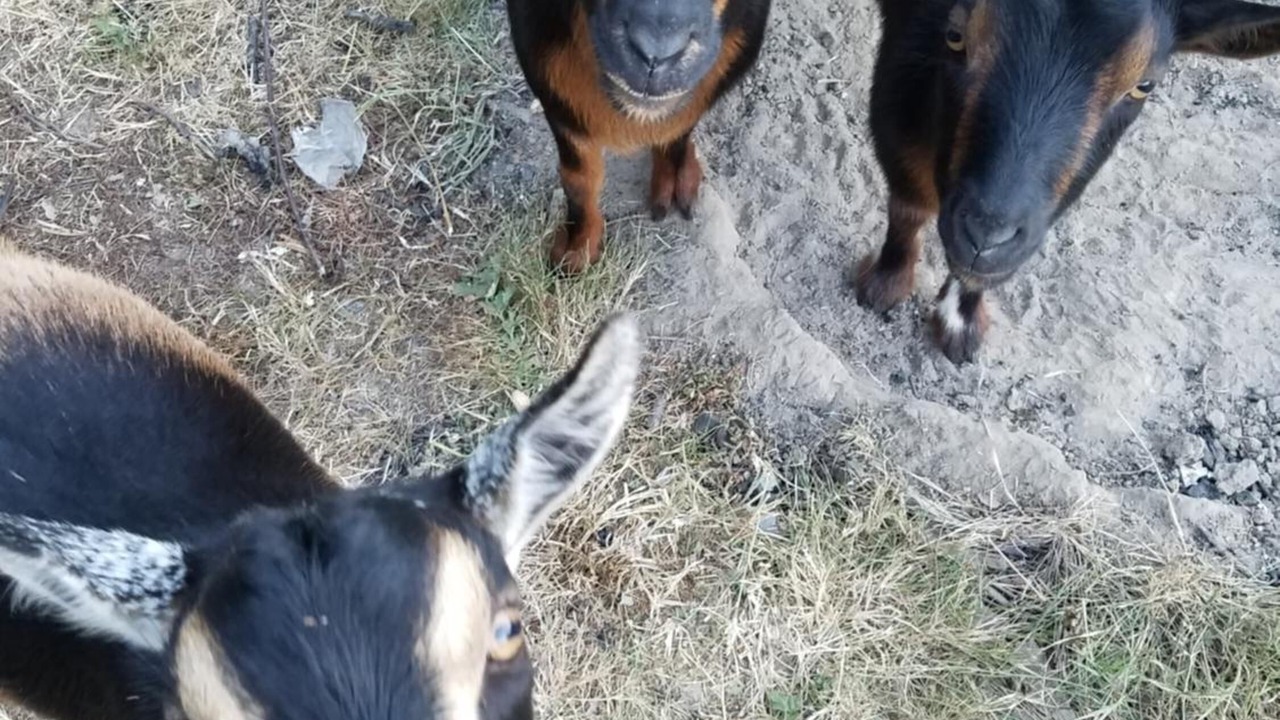 Photo of Others in Clinton