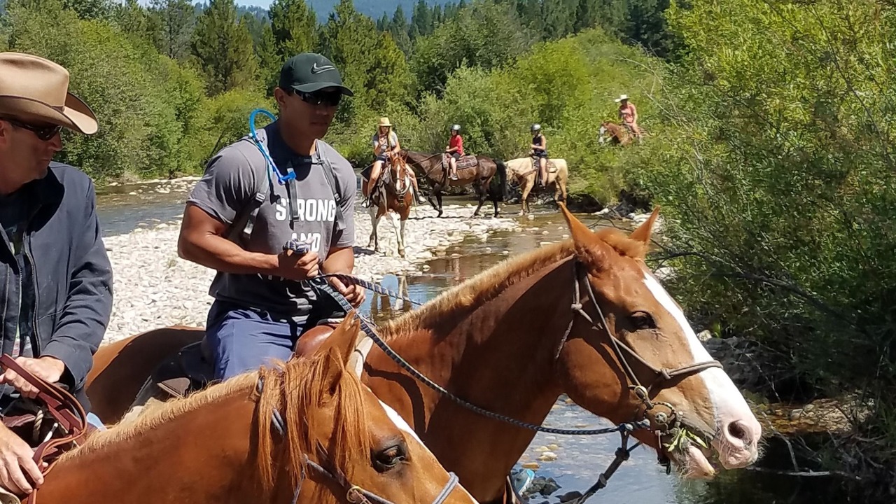 Photo of Others in Darby