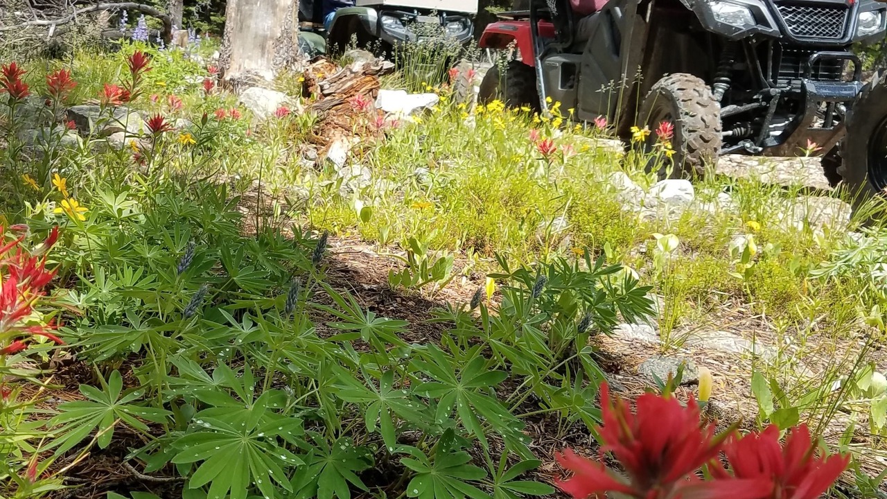 Photo of Others in Darby