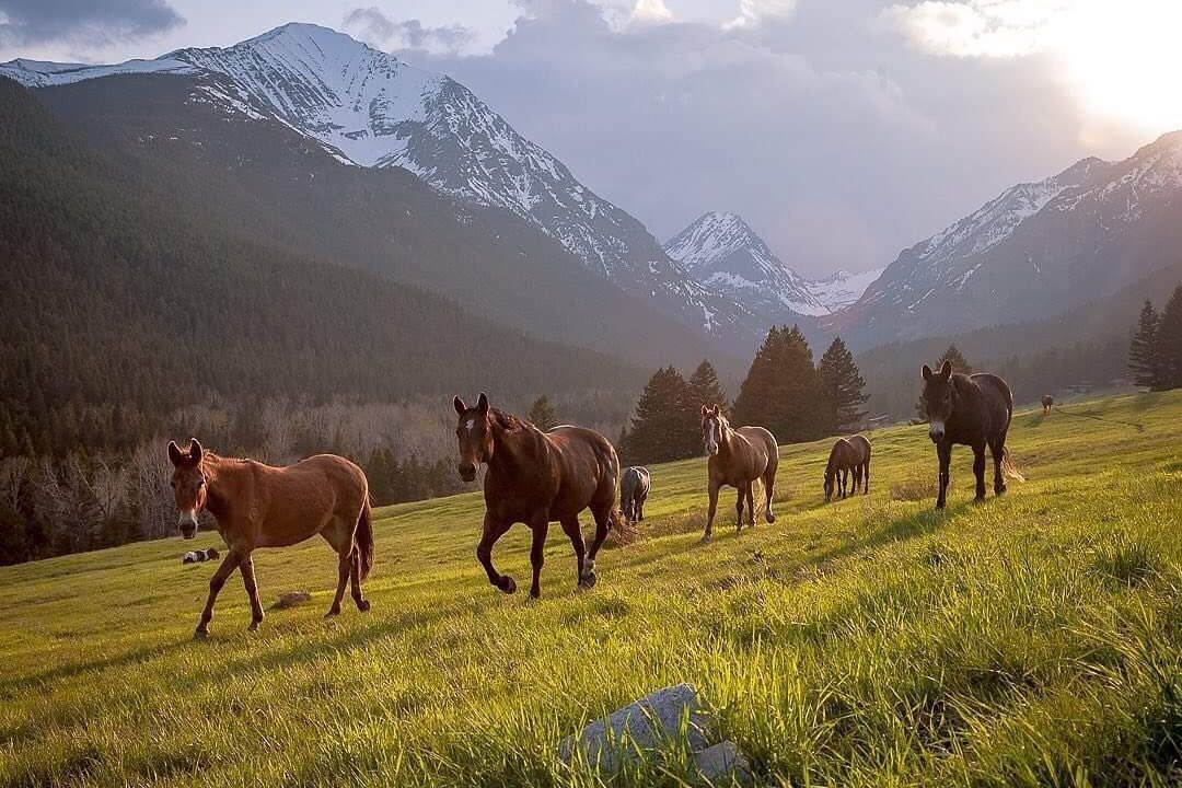 Photo of Outdoor in Darby