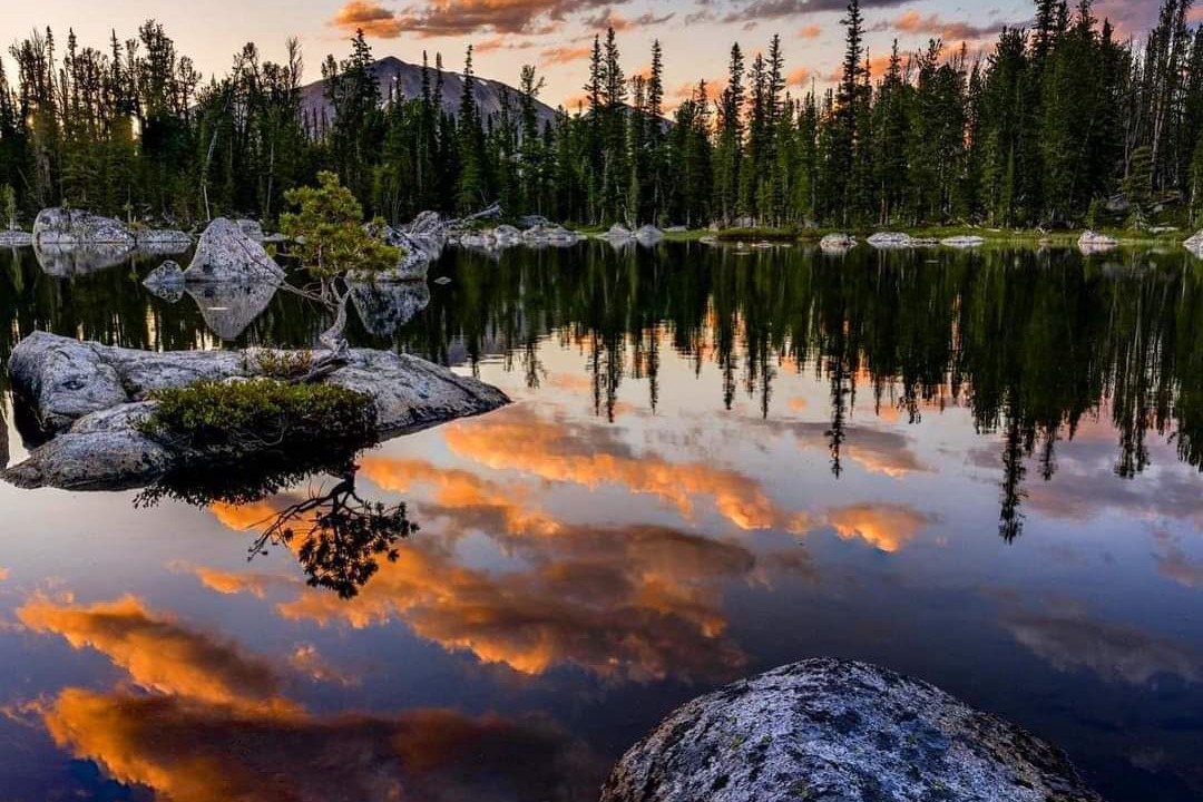Photo of Livingroom in Darby