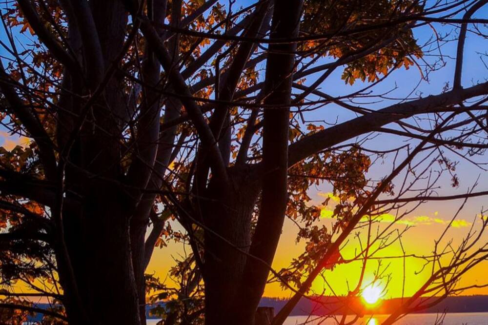 Photo of Outdoor in Camano Island