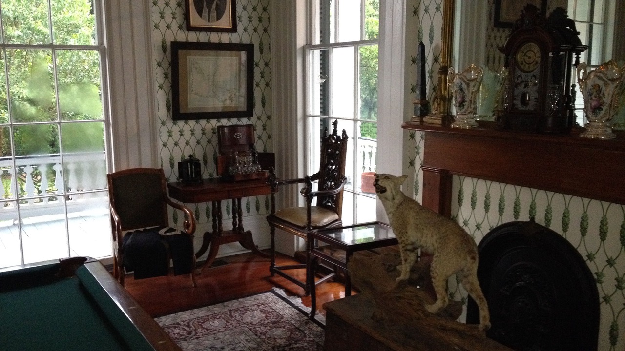 Photo of Others in Natchez