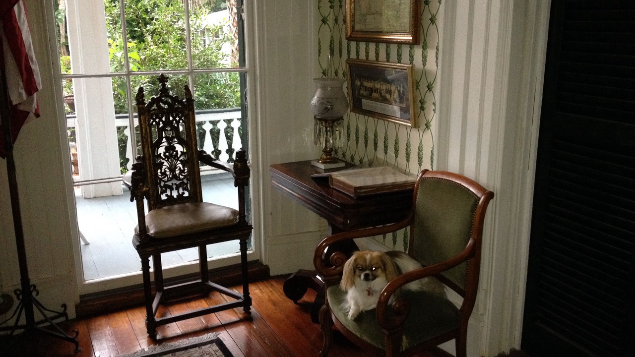 Photo of Others in Natchez