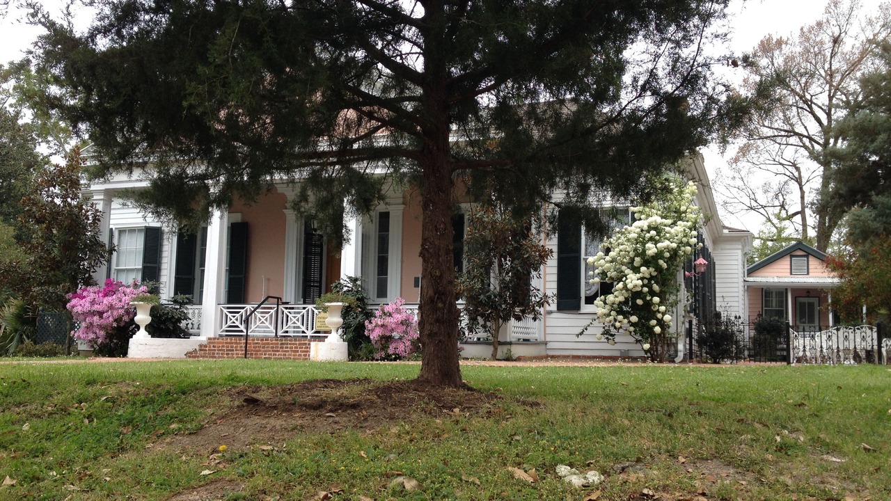 Photo of Outdoor in Natchez
