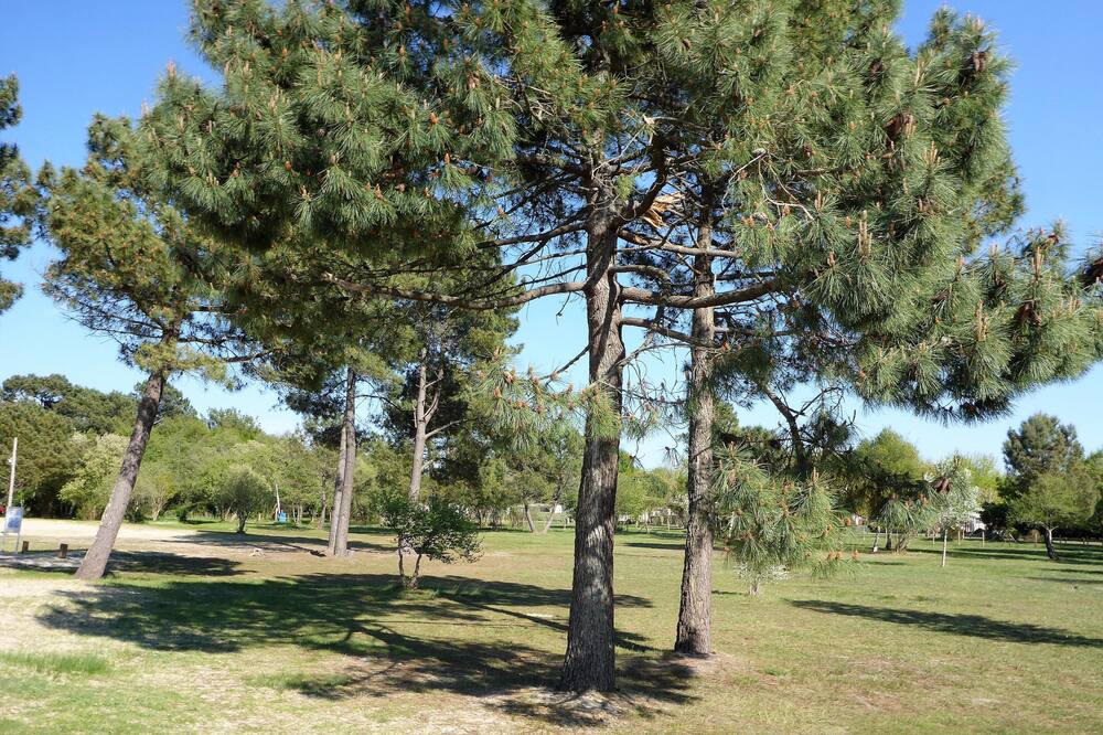 Photo of Outdoor in Gastes