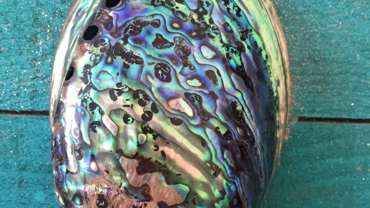 Photo of Others in Meru