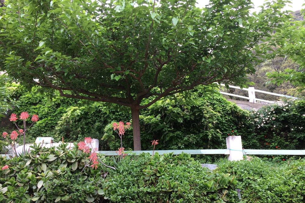 Photo of Outdoor in Albo