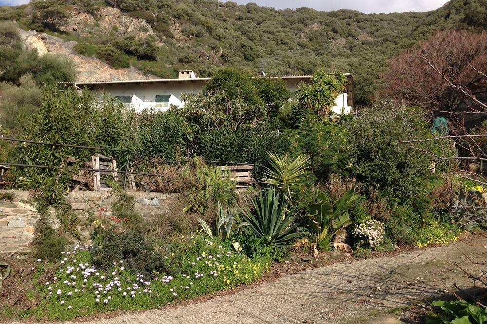Photo of Outdoor in Albo