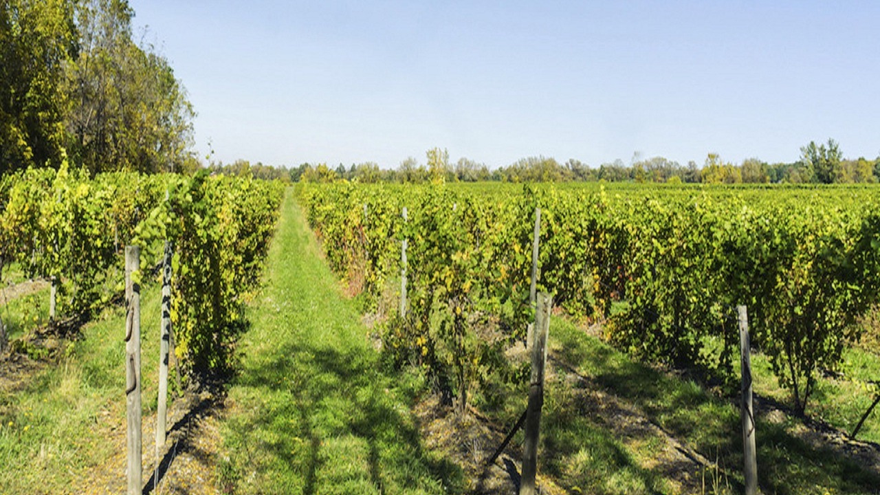 Photo of Outdoor in Seneca Falls