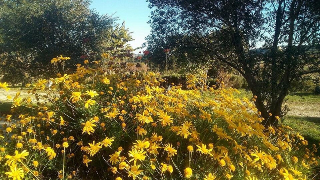Photo of Outdoor in Serviers-et-Labaume