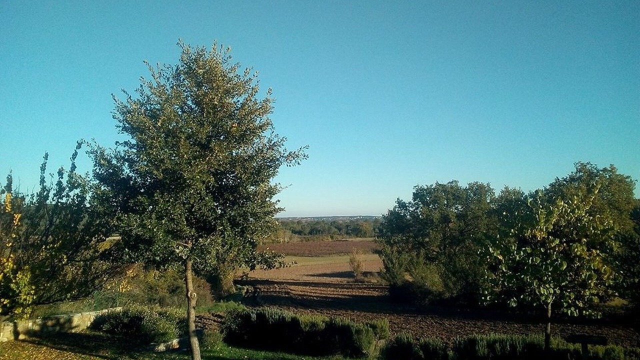 Photo of Others in Serviers-et-Labaume