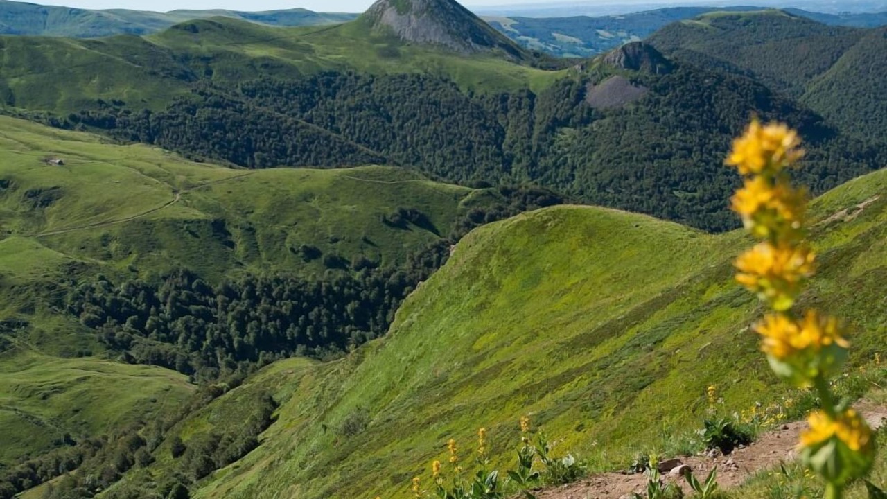 Photo of Outdoor in Jaleyrac