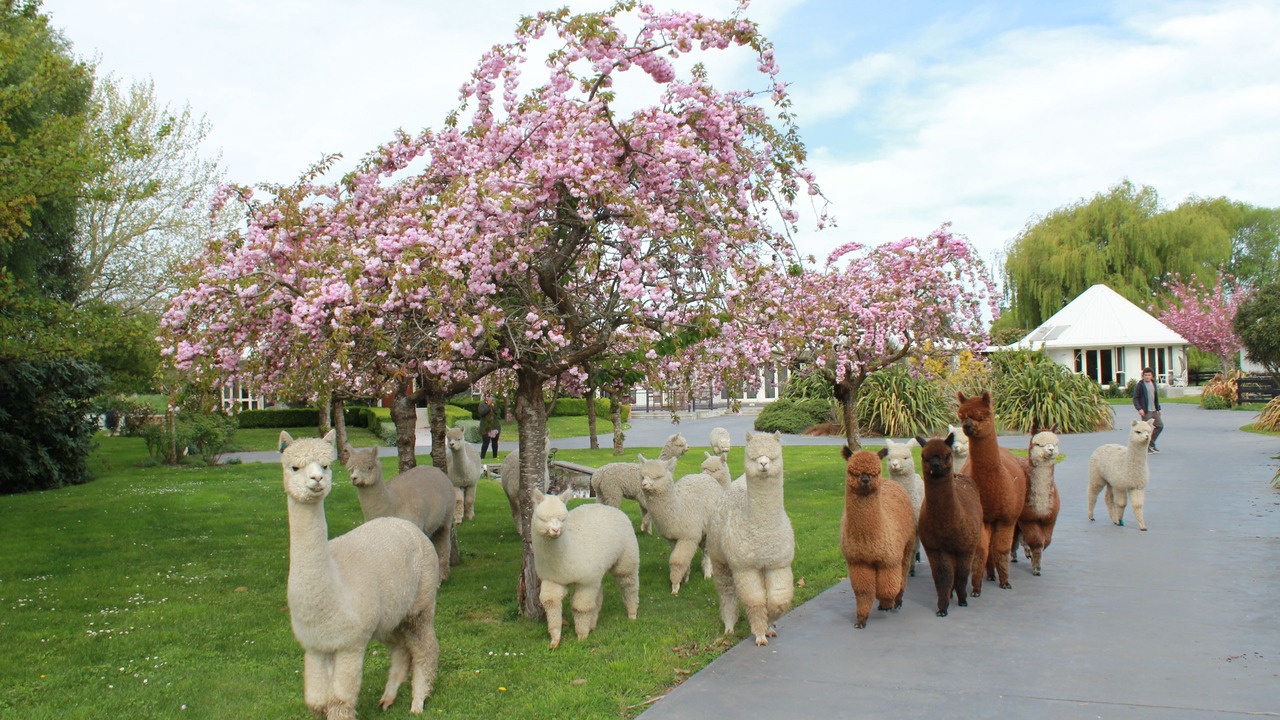 Photo of Outdoor in Kaiapoi
