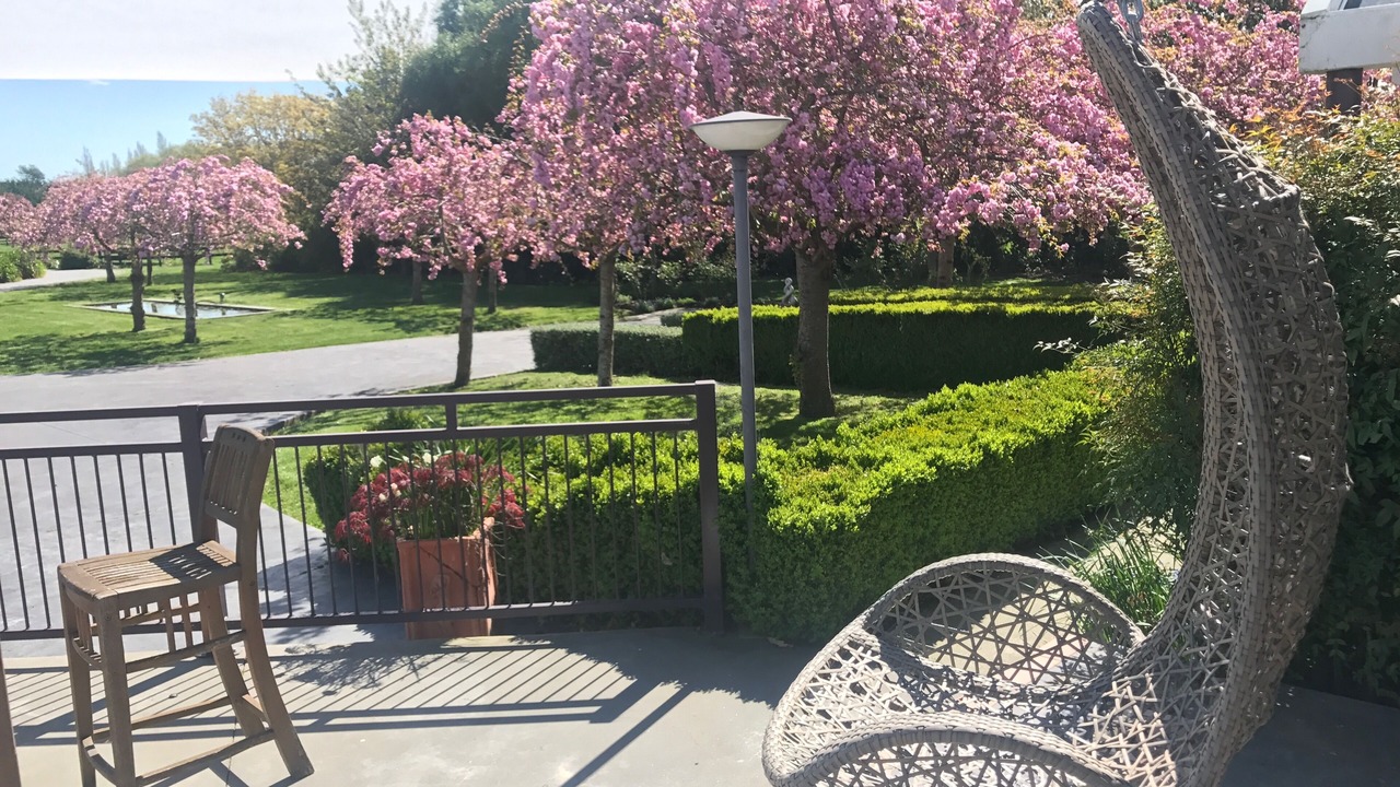 Photo of Others in Kaiapoi