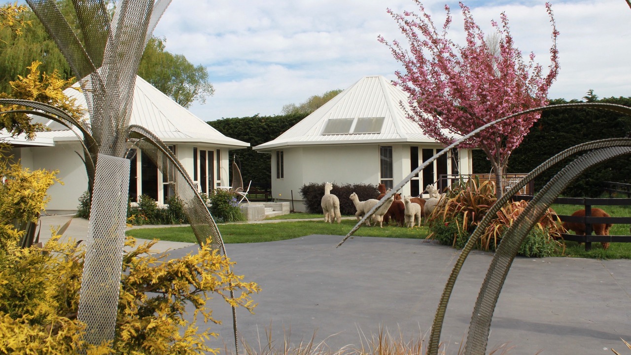 Photo of Outdoor in Kaiapoi
