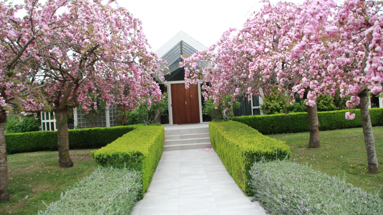 Photo of Outdoor in Kaiapoi