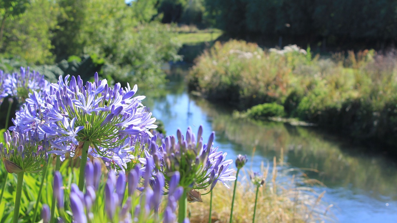 Photo of Outdoor in Kaiapoi