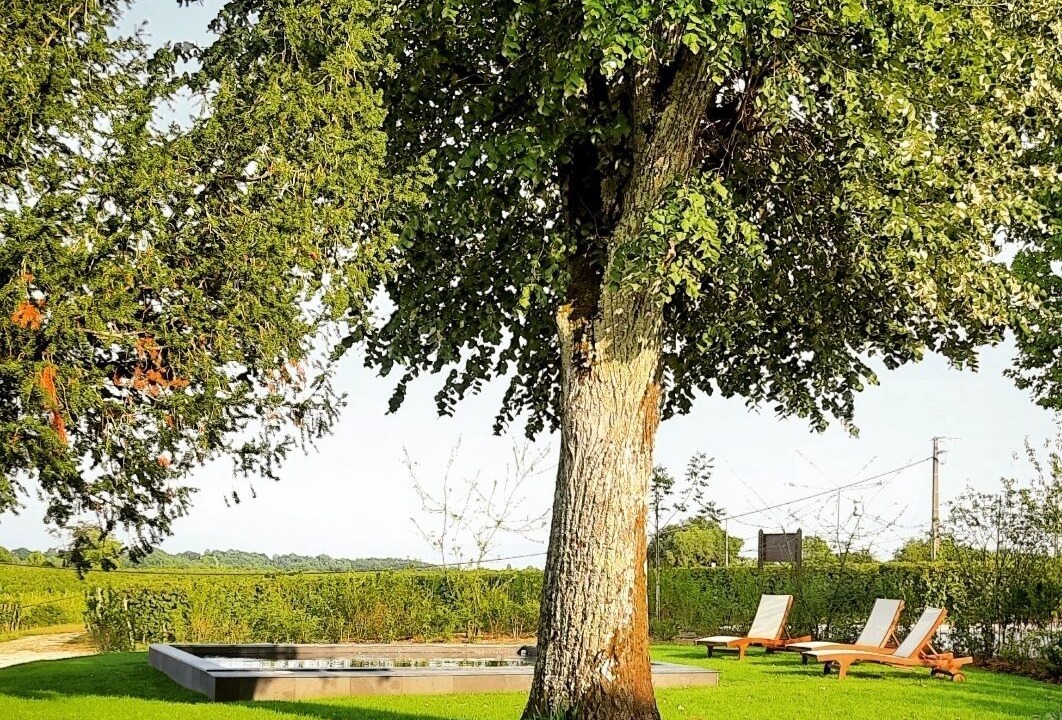 Photo of Outdoor in Saint-Etienne-De-Lisse
