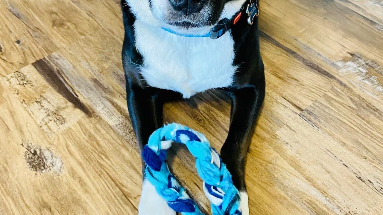 Photo of Outdoor in Lincolnville