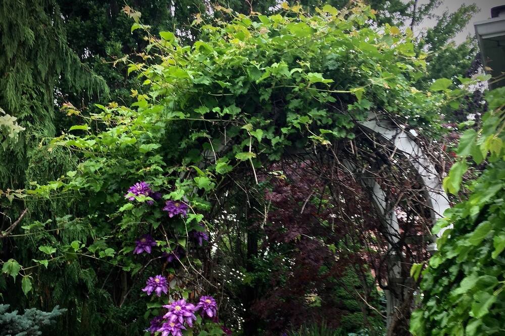 Photo of Outdoor in Stratford