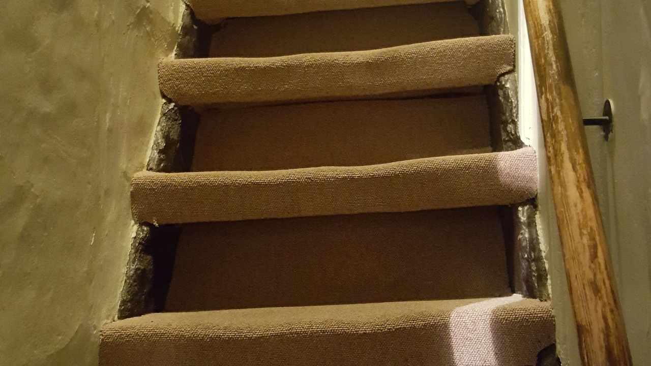 Photo of Others in Ribe