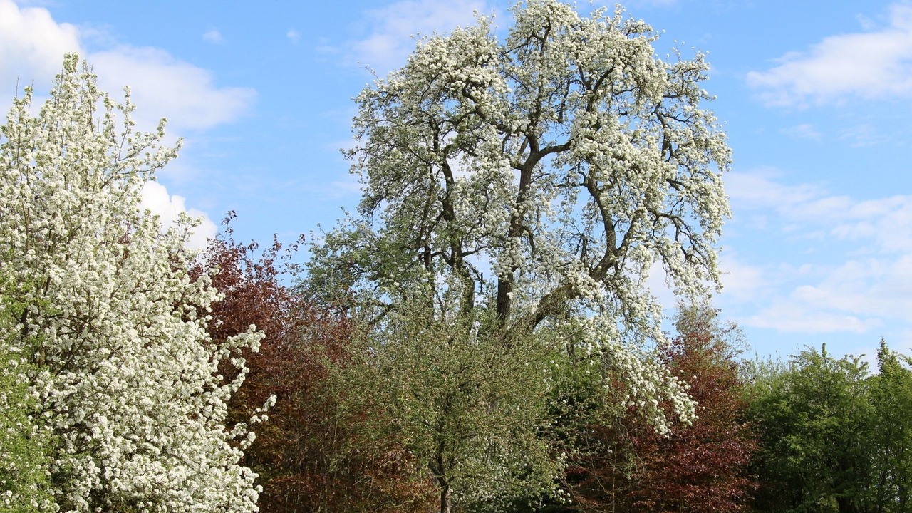 Photo of Outdoor in Saint-Aubin-de-Bonneval