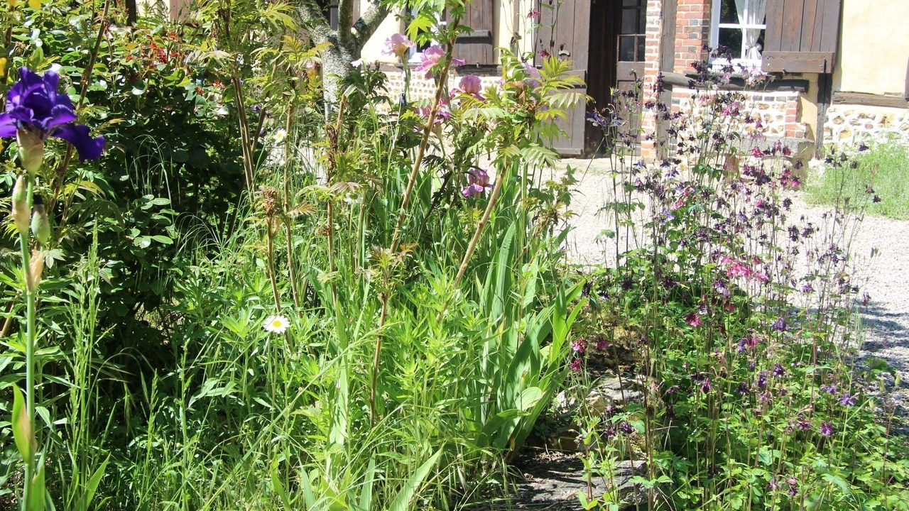 Photo of Outdoor in Saint-Aubin-de-Bonneval