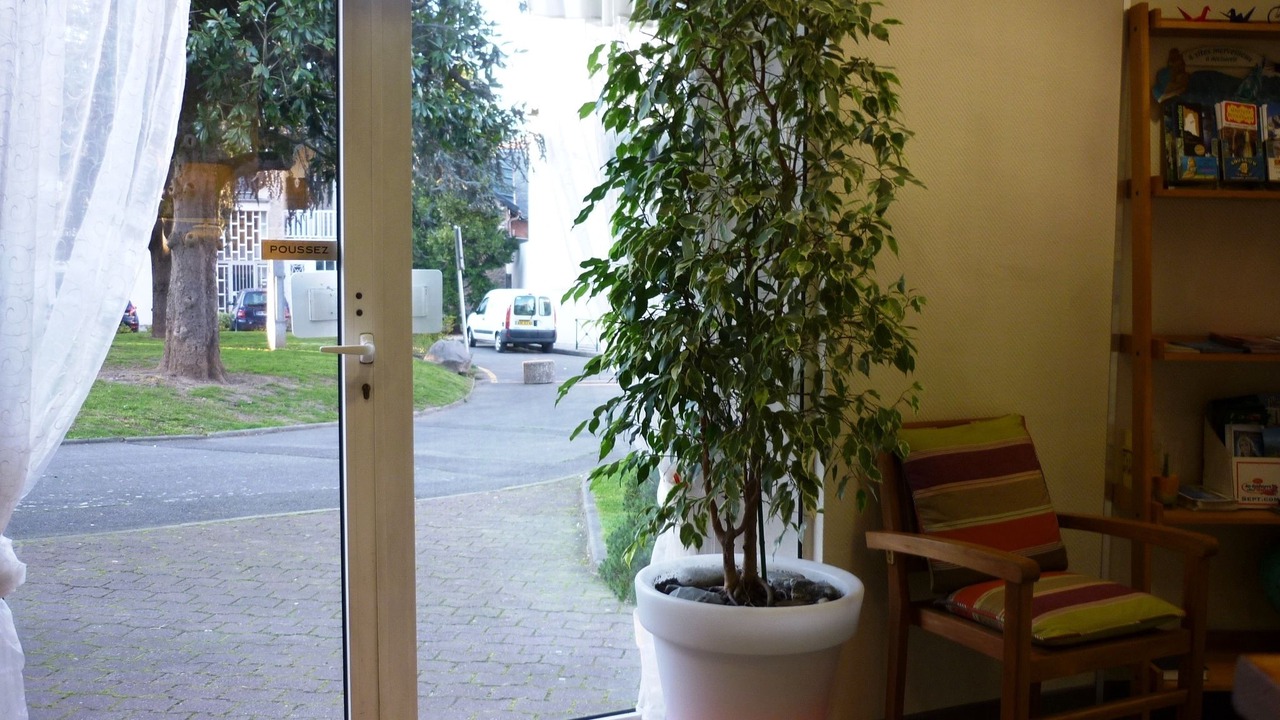 Photo of Others in Lourdes