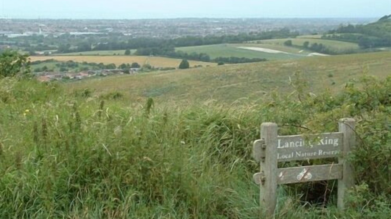 Photo of Others in Lancing