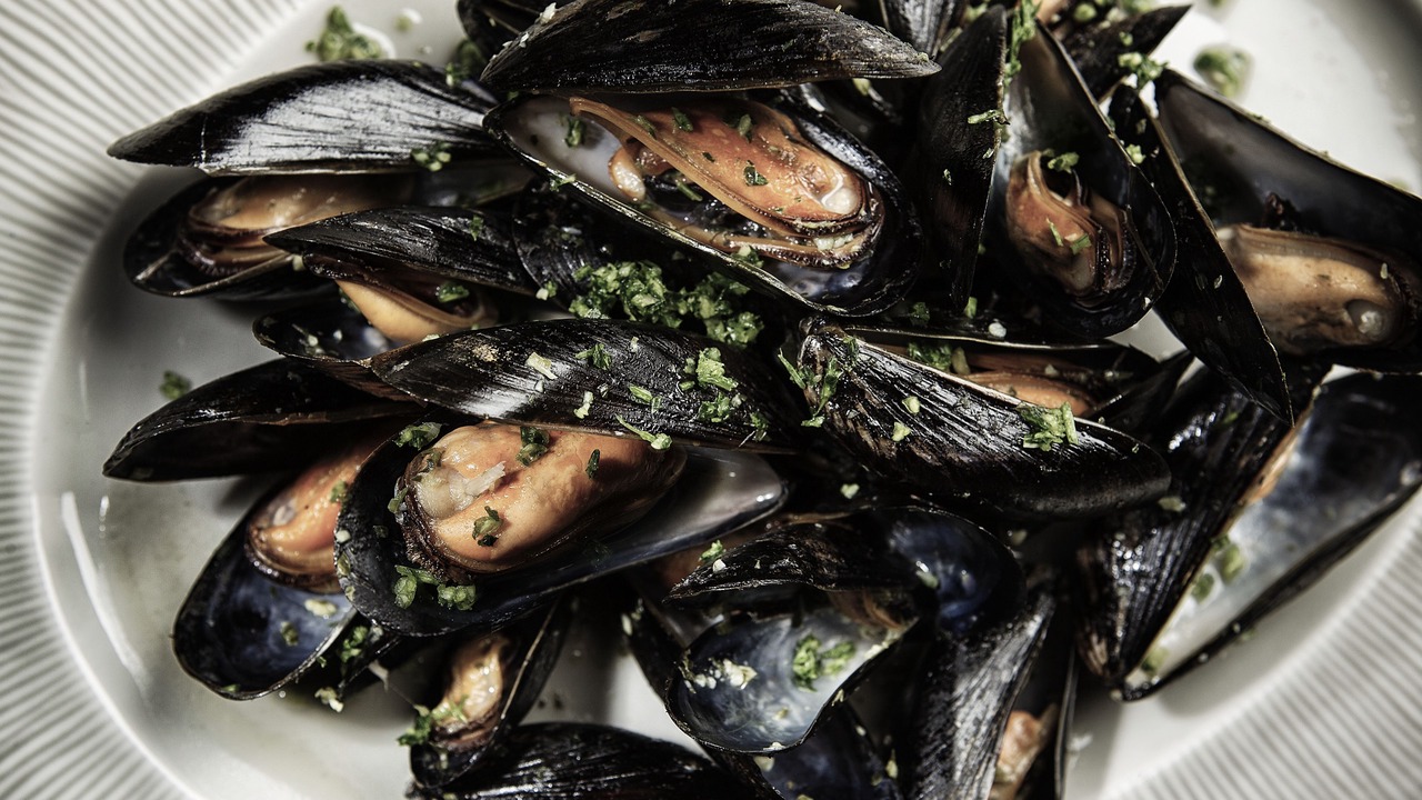 Photo of Others in Sønderborg