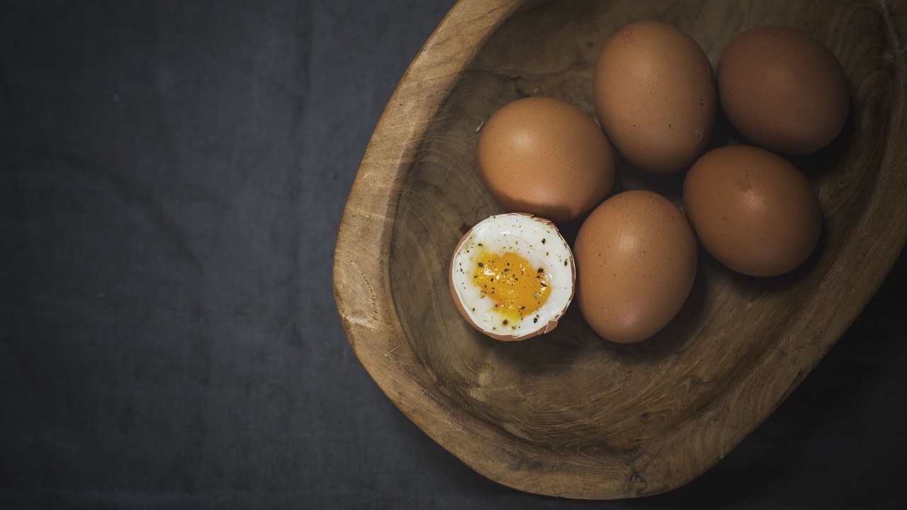 Photo of Others in Sønderborg