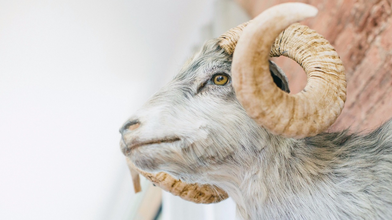 Photo of Others in West Loop