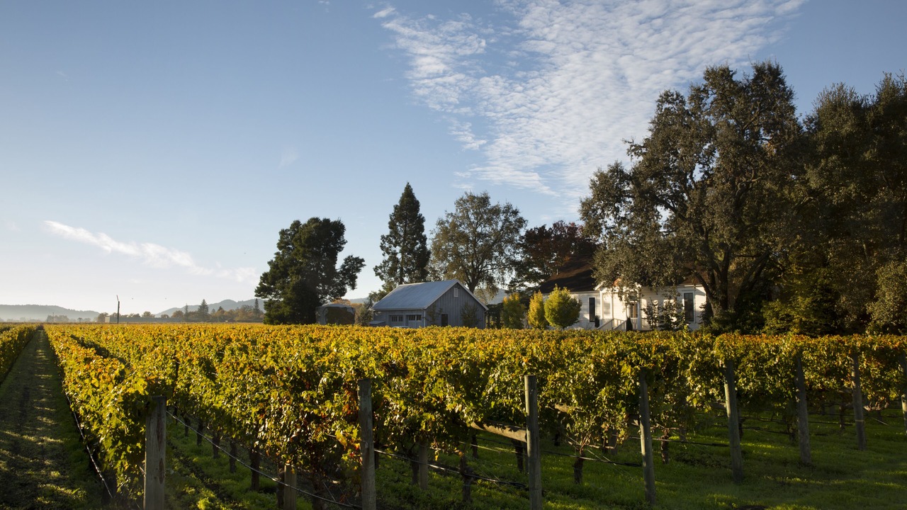 Photo of Others in Rutherford