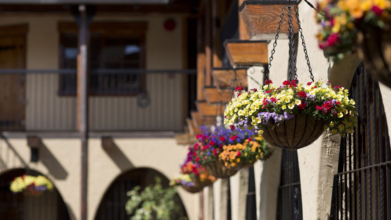 Photo of Outdoor in Rutherford