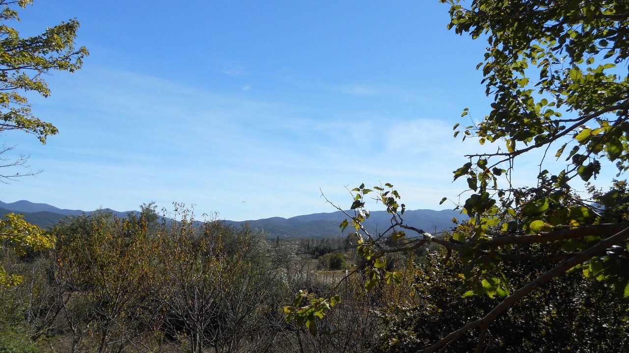 Photo of Outdoor in Saint-Jean-Pla-de-Corts