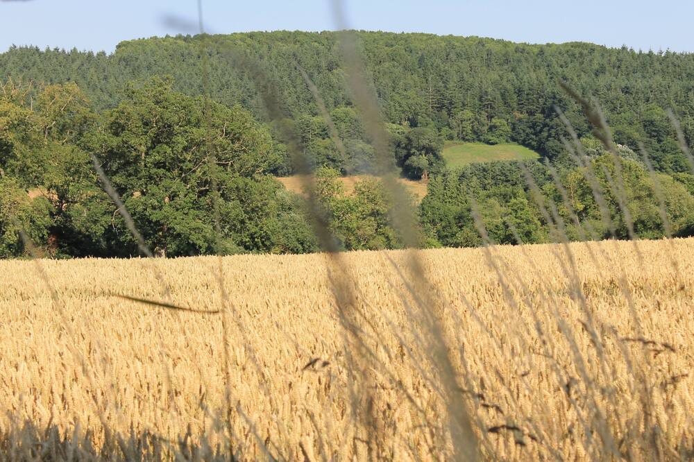 Photo of Others in Hereford