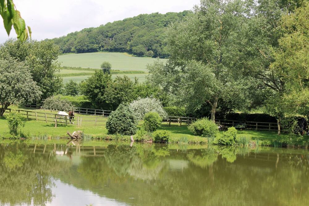 Photo of Outdoor in Hereford