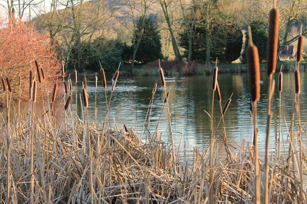 Photo of Outdoor in Hereford