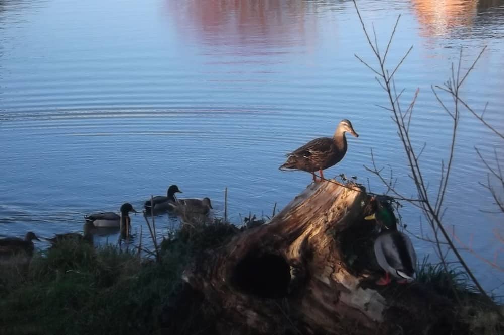 Photo of Others in Hereford