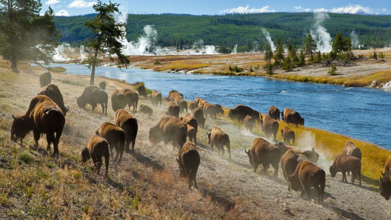 Photo of Outdoor in West Yellowstone