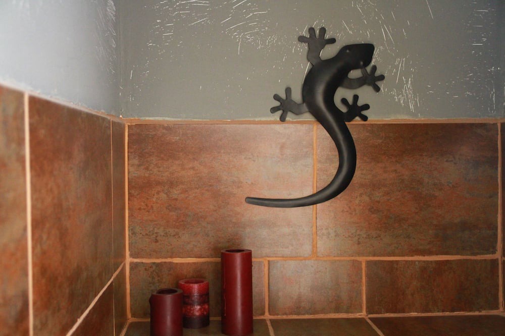 Photo of Bathroom in Peille