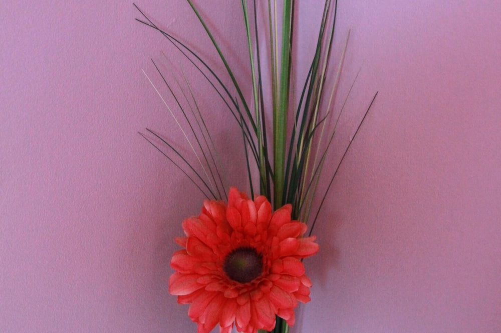 Photo of Others in Peille