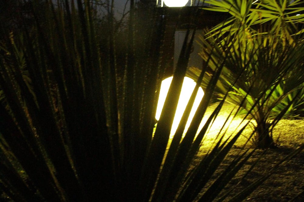 Photo of Others in Peille