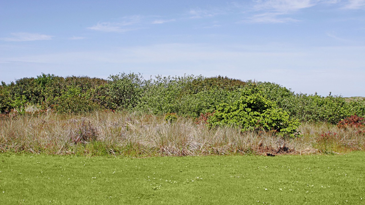 Photo of Outdoor in Ocean Shores