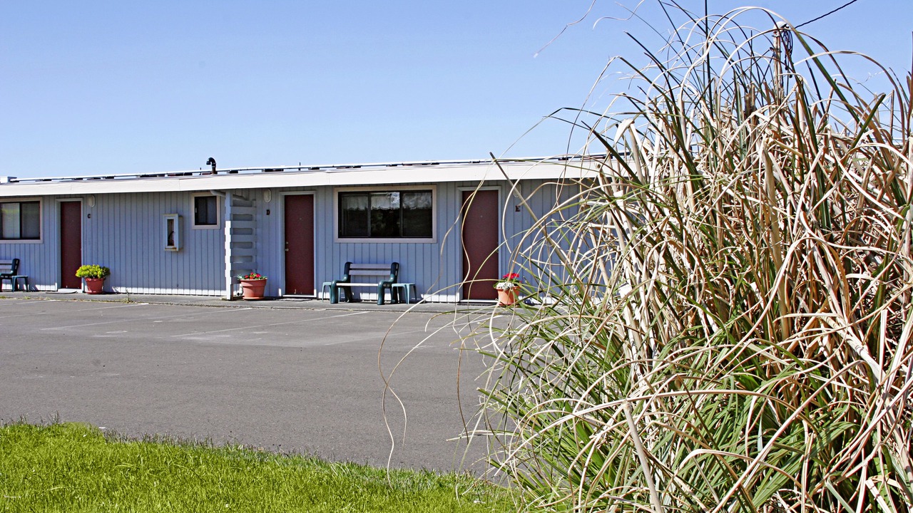 Photo of Outdoor in Ocean Shores