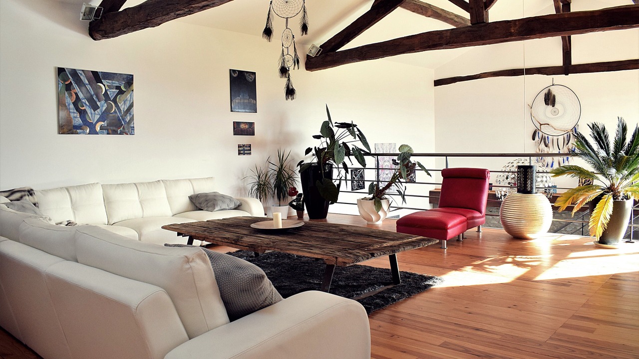 Photo of Others in Montrejeau