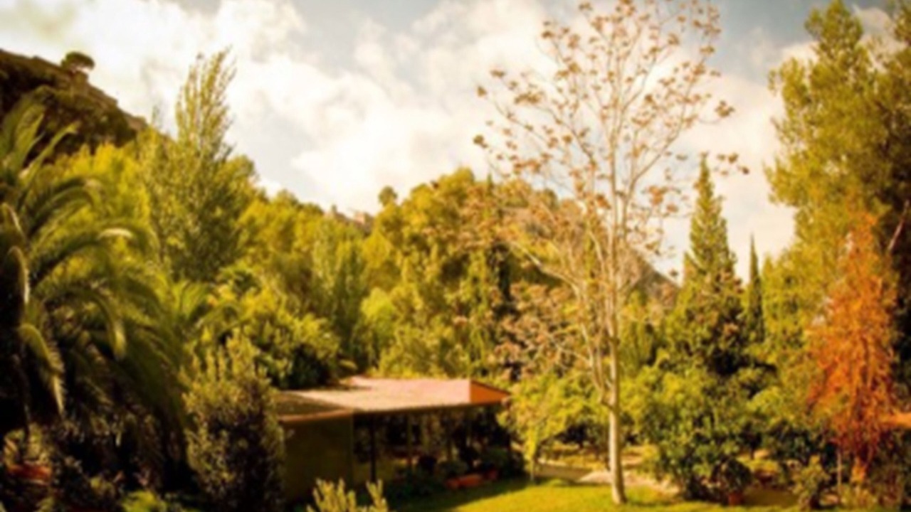 Photo of Outdoor in Xativa